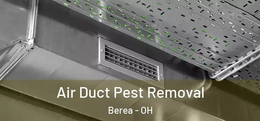  Air Duct Pest Removal Berea - OH