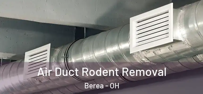  Air Duct Rodent Removal Berea - OH
