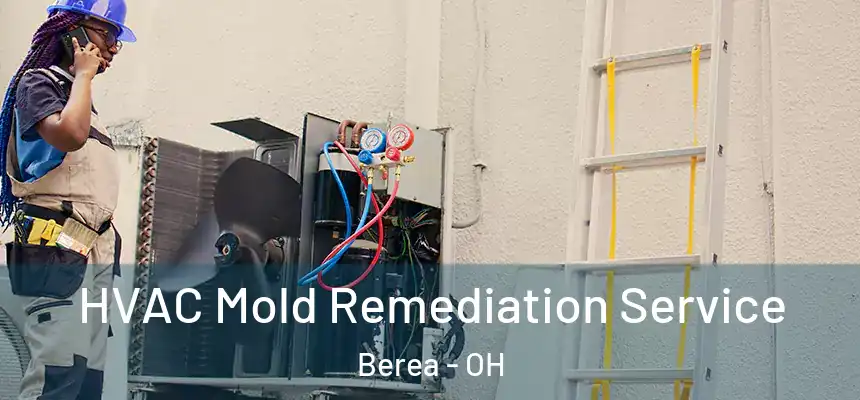  HVAC Mold Remediation Service Berea - OH