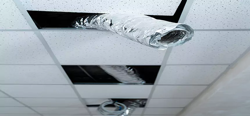 Our Air Duct Pet Hair Removal Services in Berea, OH