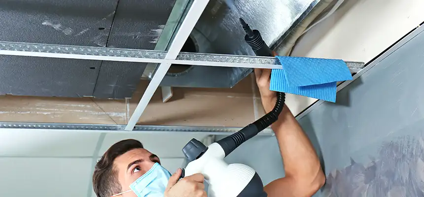 Our Air Duct Rodent Removal Services in Berea, OH