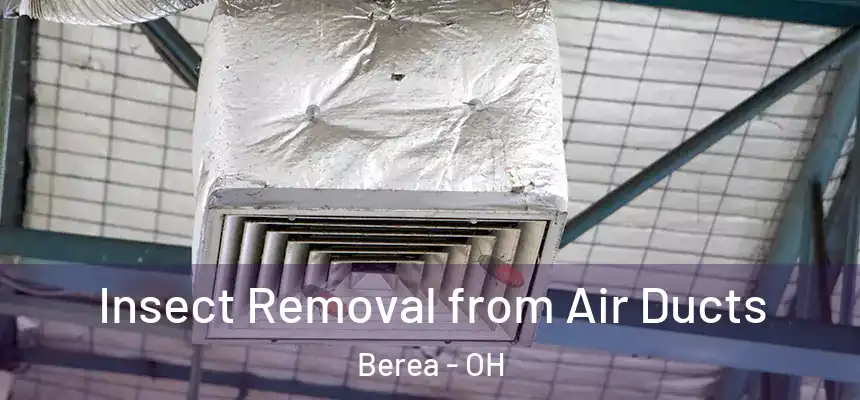 Insect Removal from Air Ducts Berea - OH