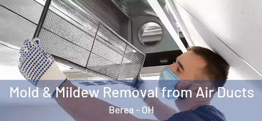 Mold & Mildew Removal from Air Ducts Berea - OH