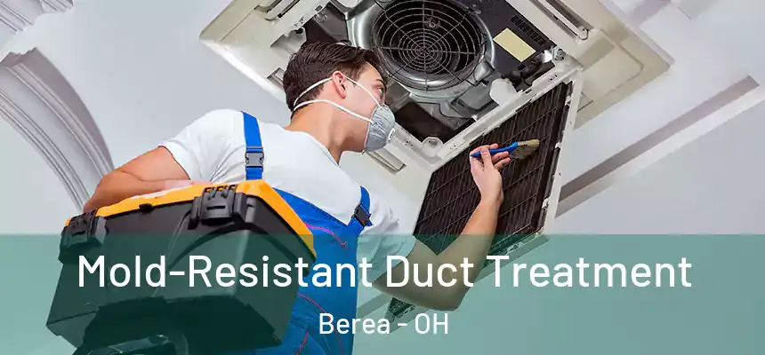  Mold-Resistant Duct Treatment Berea - OH