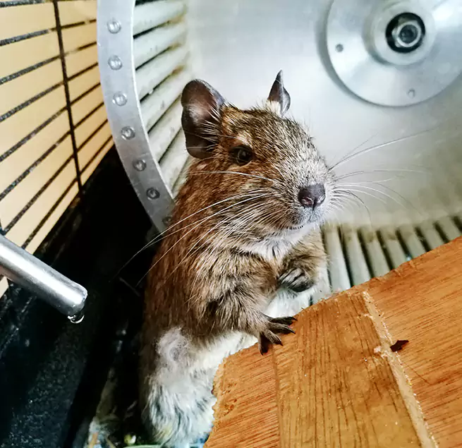 Why Homeowners & Businesses Trust Us Berea, OH