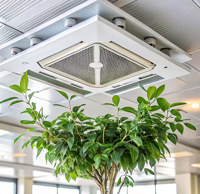 Why Homeowners & Businesses Trust Us in Berea, OH