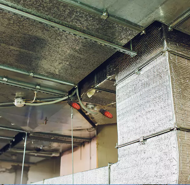 Why Homeowners & Businesses Trust Us Berea, OH?